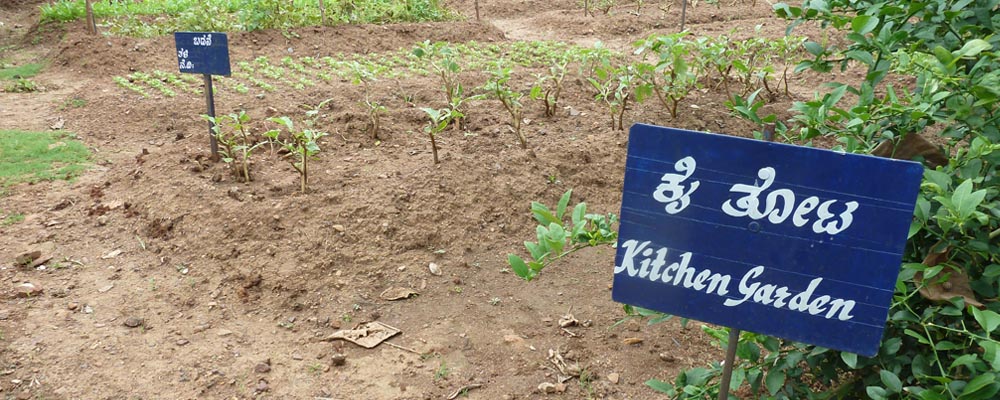 Kitchen Garden